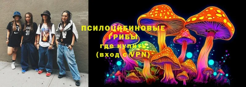 Псилоцибиновые грибы Psilocybine cubensis  Ижевск 